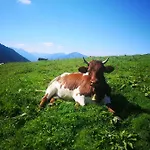 Chiemgau 90 Qm 3 Balkon アパート Übersee